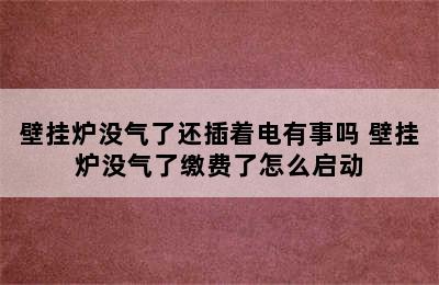 壁挂炉没气了还插着电有事吗 壁挂炉没气了缴费了怎么启动